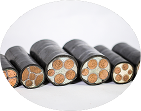 左手APP视频下载廠家