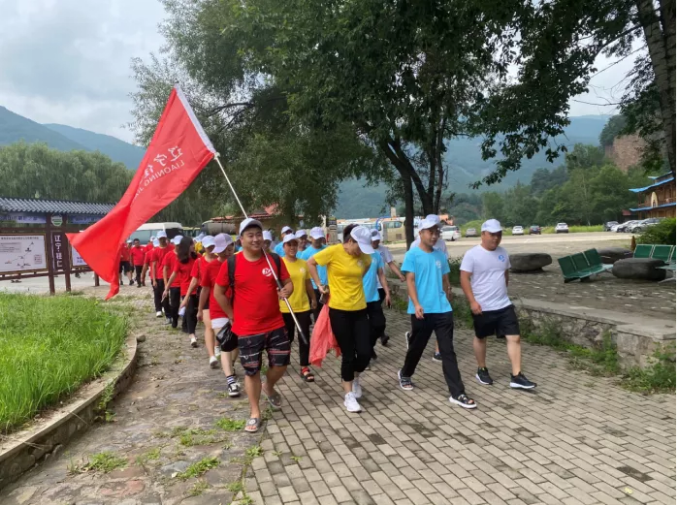 東北左手APP视频下载