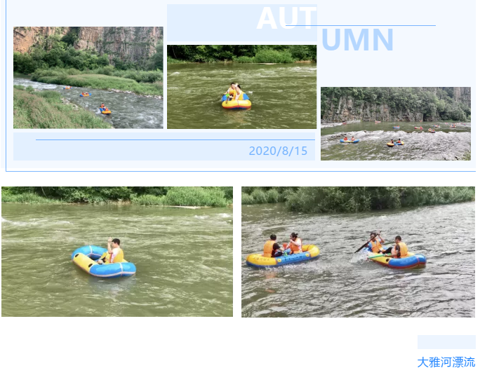 東北左手APP视频下载