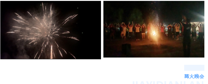 東北左手APP视频下载