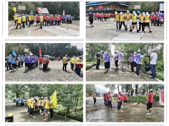 東北左手APP视频下载