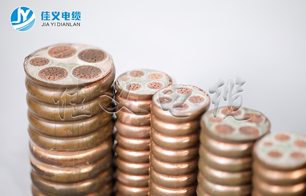 東北左手APP视频下载